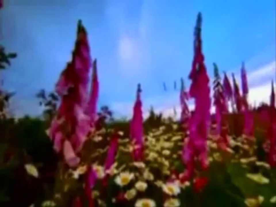 Kabirden Mektup Var -- İmam-ı  Gazali - www.ilahi.wordpress.com