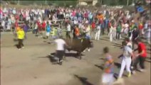 ¿Tradición o salvajismo?: Unas 50.000 personas asisten al Toro de la Vega en Tordesillas