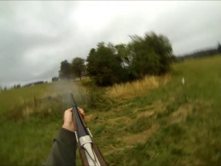 ARRET EN DUO SUR COUPLE DE FAISANS