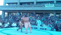 Violent SUMO fight... K.O on the floor!