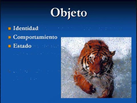 Programación orientada a objetos