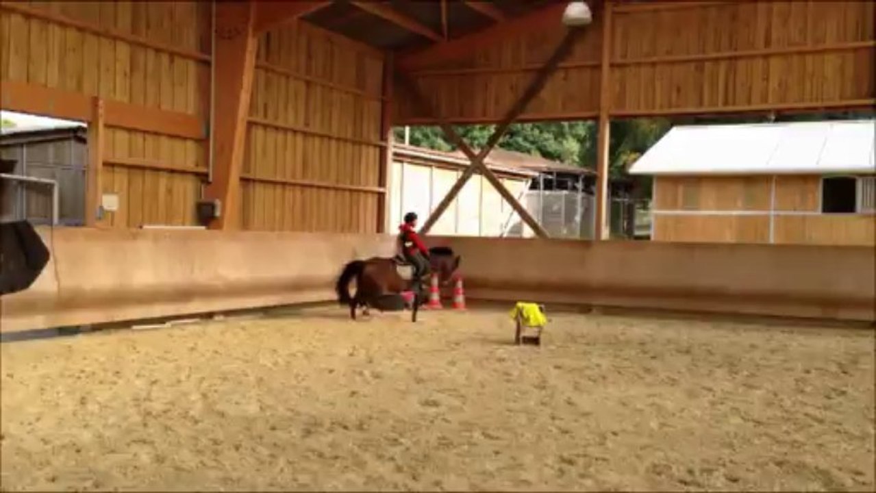 PL manège