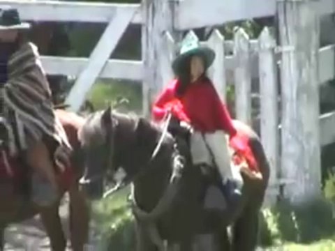 Ecuadorian Chagras Cowboys Riding and Roping Exhibition