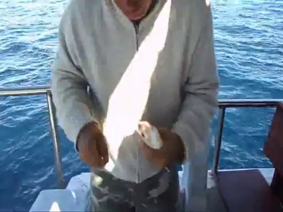 darboğaz 2