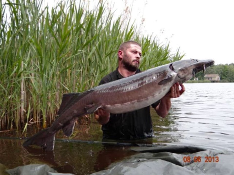 Carpe79bressuire juin 2013 etang de la lande