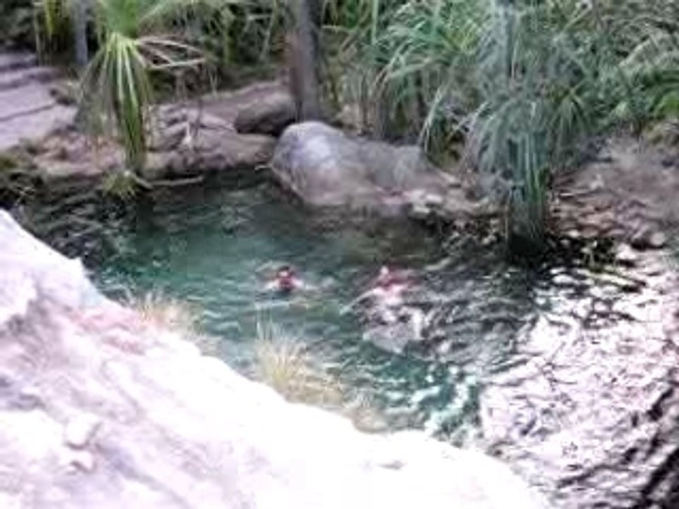 Piscine_naturelle