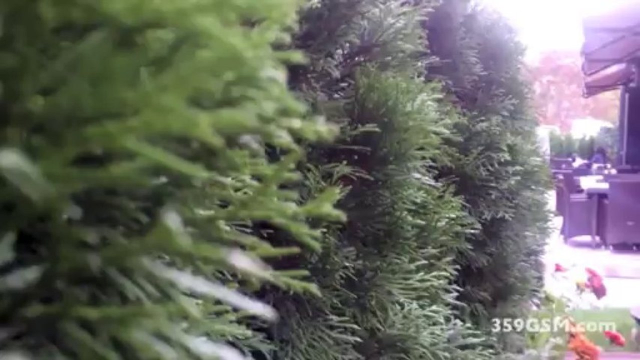 CUBOT GT99 видео ревю - Browser & Camera