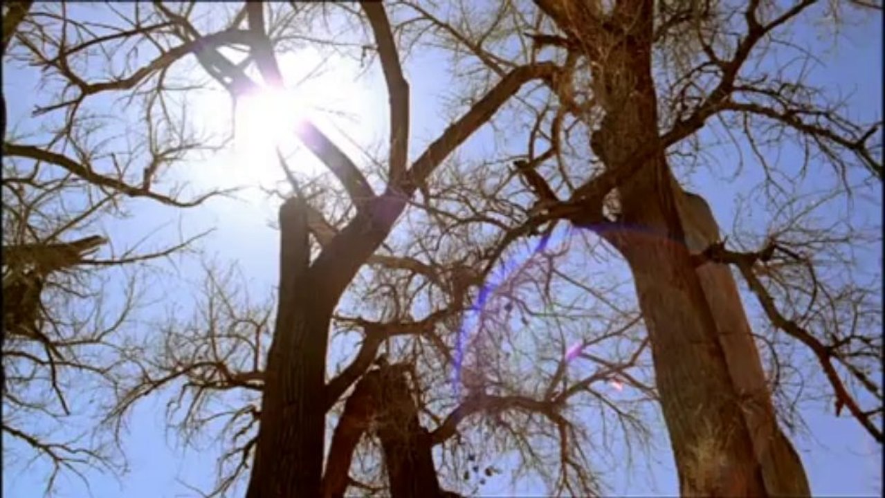 DIE ERBEN DER SAURIER - IM REICH DER URZEIT TEIL4