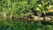Riviera Maya  Cenotes, Ceviche & Ancient Spirits BBBTV