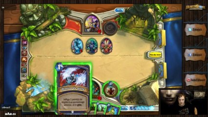 VOD HearthStone #8 - Présentation Chaman
