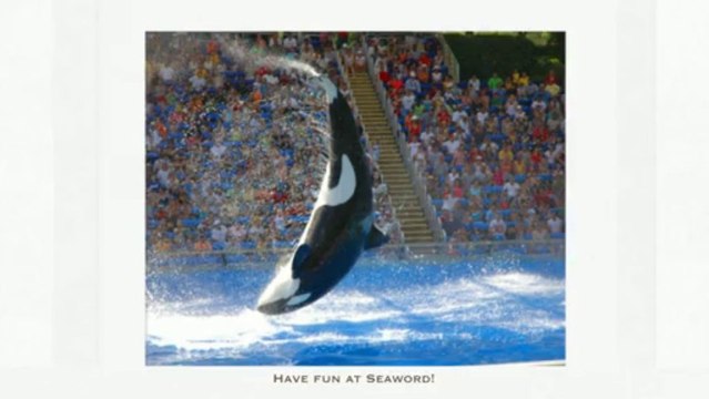 Rental Vacation Condominium Anna Maria Island FL-FL Rental