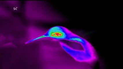 Mondes Invisibles,  Dans Notre Monde