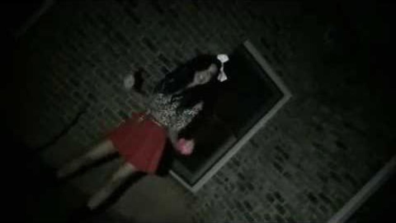 Selena Gomez Come & Get It ( Music Video) Cover by Pop Artist Lexi