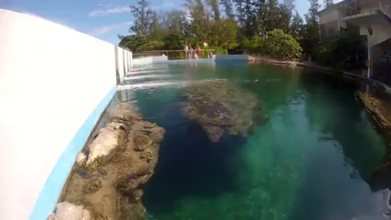 Gabriel et anabel a Kelonia