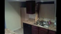 This dog escapes from kitchen! Awesome