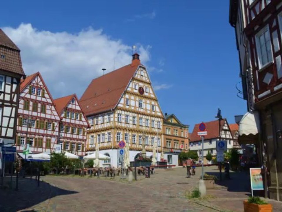 Kory et Laïka à Leonberg , Allemagne