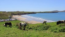 St Davids Holiday Cottages and Attractions in Wales