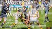 Watch Sharks vs London Wasps Live Rugby On Sep 20 2013