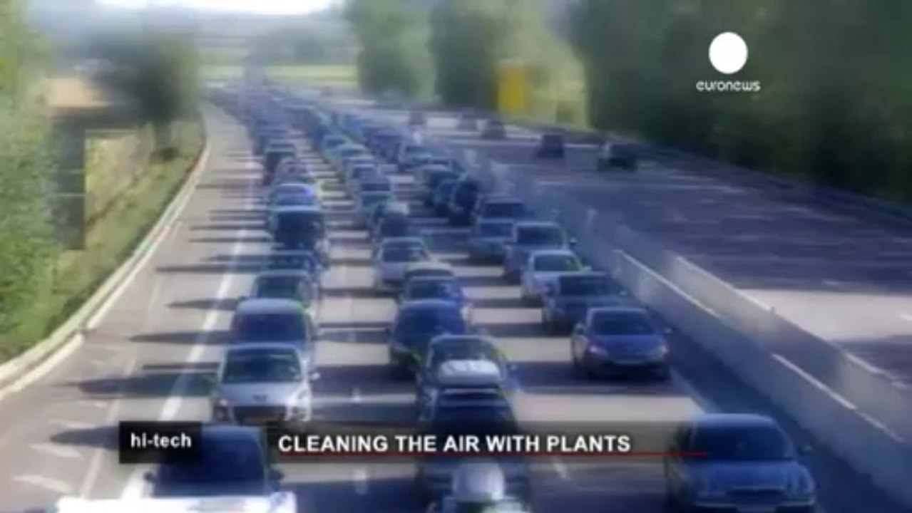 Green walls to fight pollution