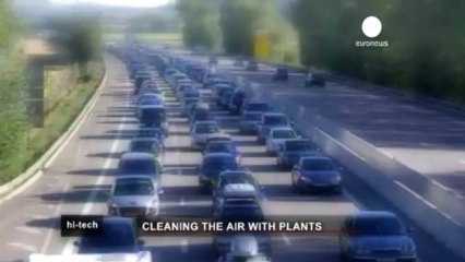 Green walls to fight pollution