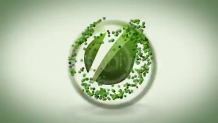 Living Lines Logo Reveal - After Effects Template