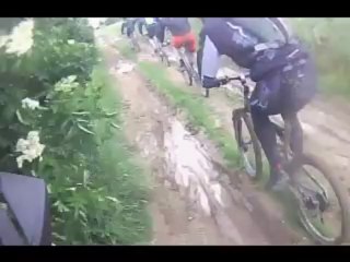 wallabys vtt errants