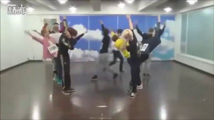 EXO - Wolf - Dance Practice (Mirror + Slow)