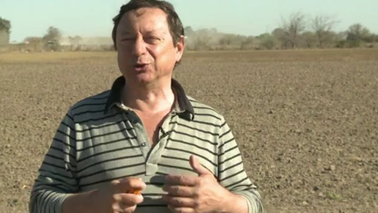 Sojaödnis statt landidylle in argentinien