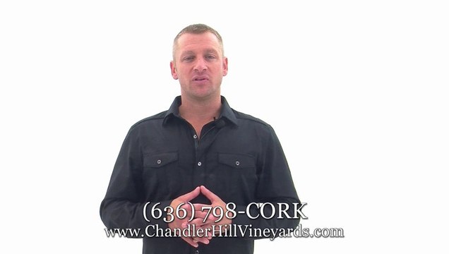 St. Louis Wedding Venues By Augusta MO wineries: Special Day