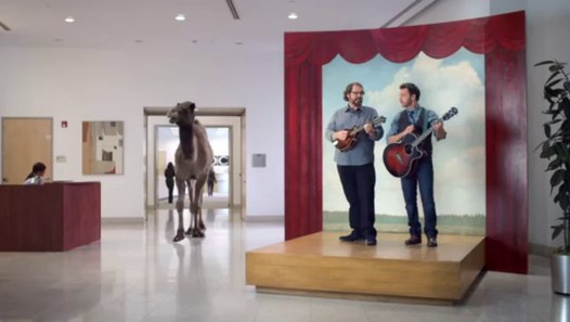 GEICO Hump Day Camel Commercial - Happier than a Camel on ...