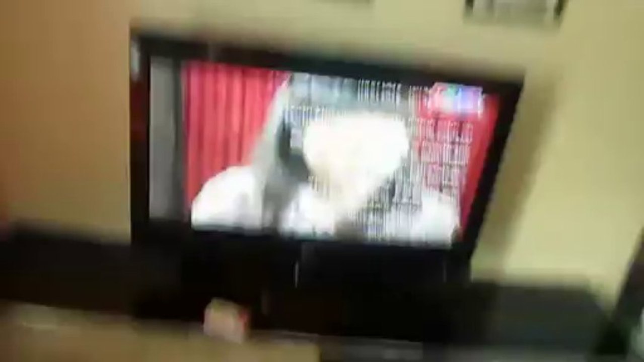 cho thue can ho hoang anh 1 call 0977771919