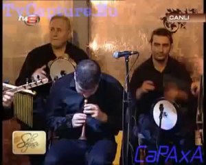 ZARA ETEK SARİ SEN ETEKTEN SARİSAN CANLİ