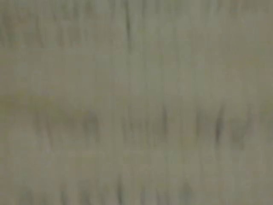 Syrienkrise/Ein globals Problem unserer Zeit