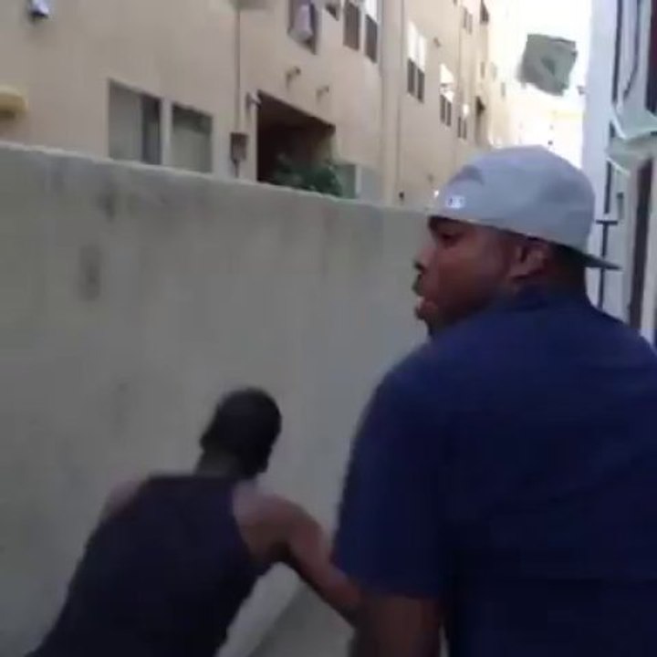 Best Vines