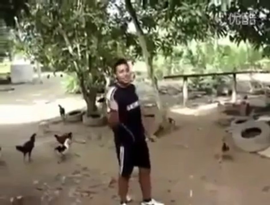 Tavukların Efendisi İş Başında!