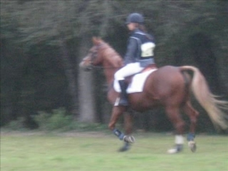 **CSO** cce damiatte