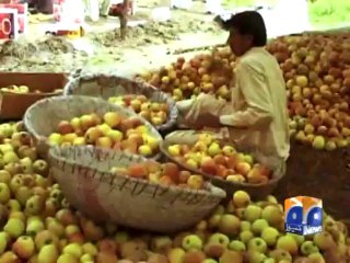Apple crops in Swat-20 Sep 2013