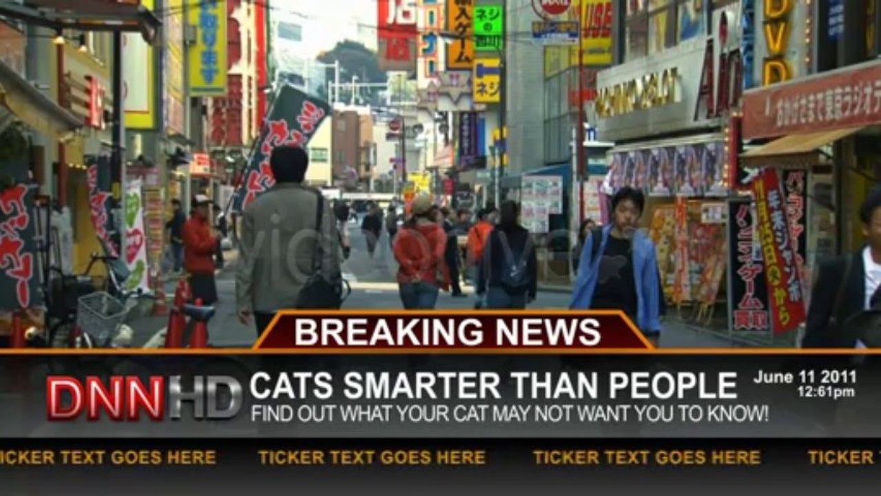 REAL News Lower Thirds - After Effects Template