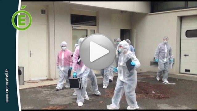 Quand des élèves mènent l’enquête…