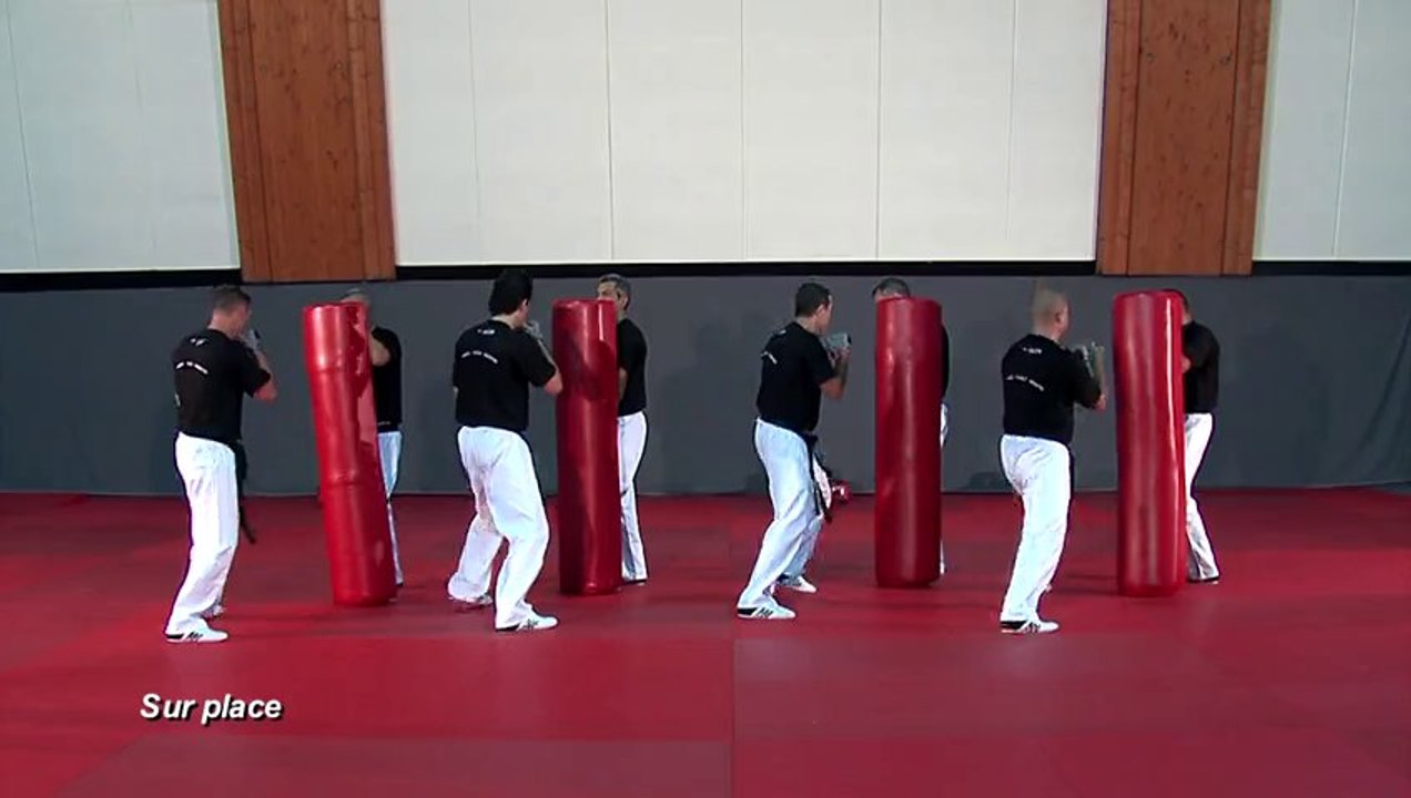 Extraits DVD Karaté Défense Training - Vol. 1 et 2