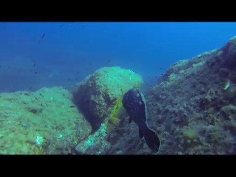 les aiguilles de la vacca porto vecchio