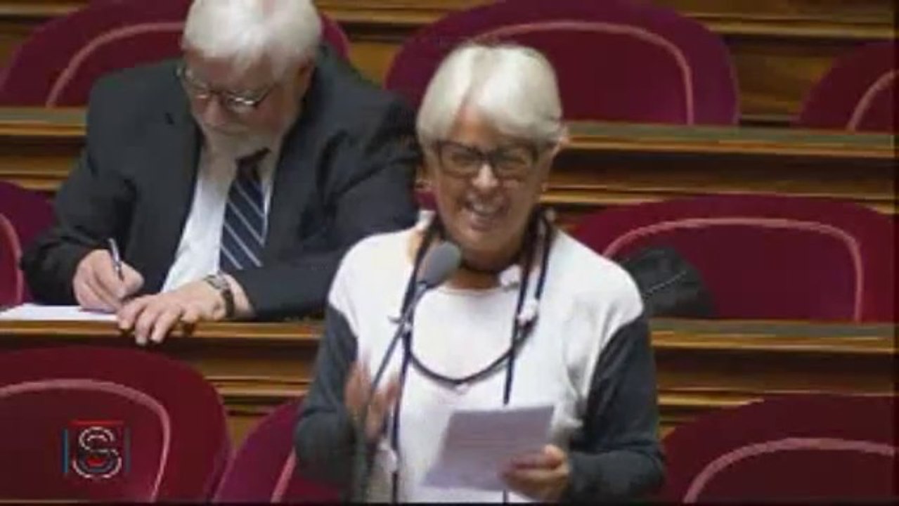 QAG de Christiane Demontès sur les emplois d'avenir (19 sept 2013)