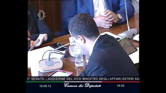 Roma - Audizione Viceministro Dassù (18.09.13)