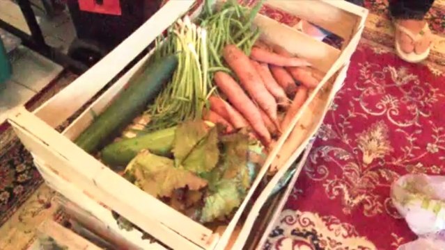 Manger local dans les volcans avec l'Amap Autrement