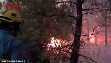 El incendio de Tivissa sigue activo
