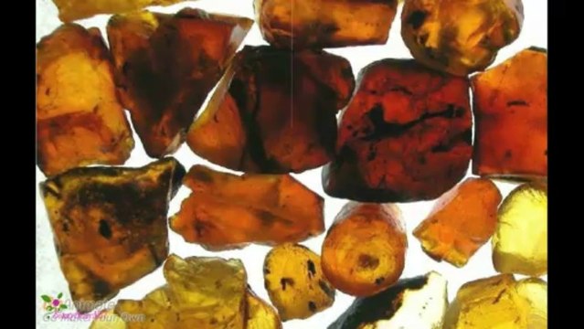 ANNA SUI Flight Of Fancy Eau De Toilette Spray