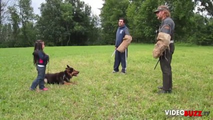 Un chien protège une fille de 5 ans contre deux individus