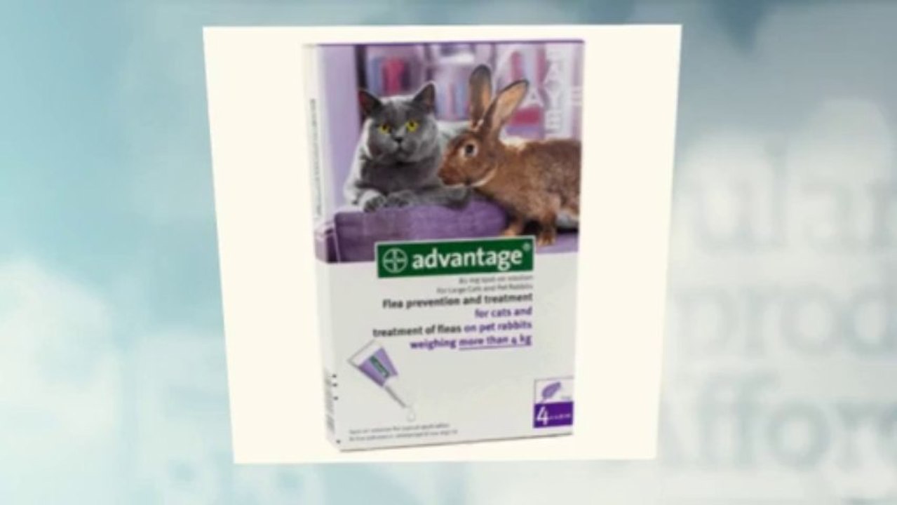 Our Pet World Coupon Code - Our Pet World Coupon Code 2013 Voucher Code,Promo Code ...