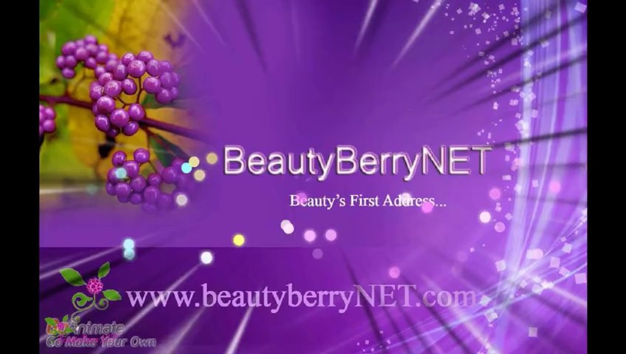 ARAMIS Classic ტუალეტის წყალი სპრეი