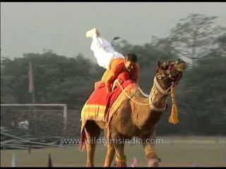 Camel show by the Border Security Force